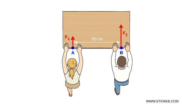 esempio di forze parallele e concordi