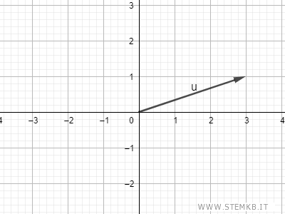 un esempio di vettore