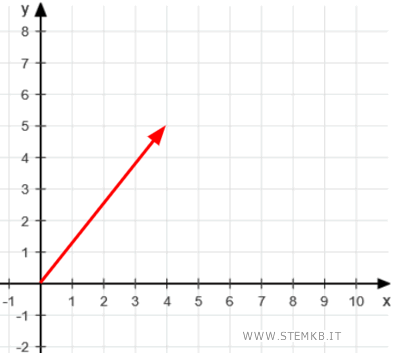 un esempio di vettore