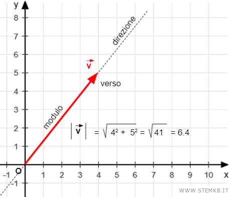 le componenti del vettore