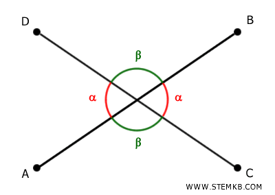 gli angoli opposti al vertice
