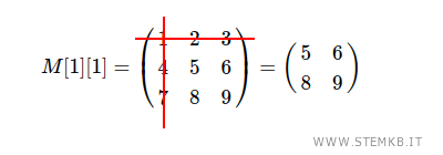 come ottenere la sottomatrice M[1][1]