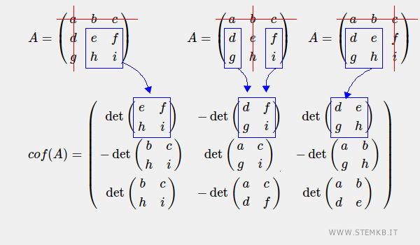 come si costruisce la matrice dei cofattori