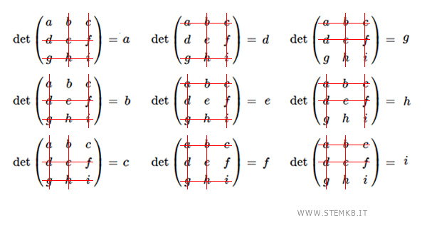i minori di ordine 1 della matrice M