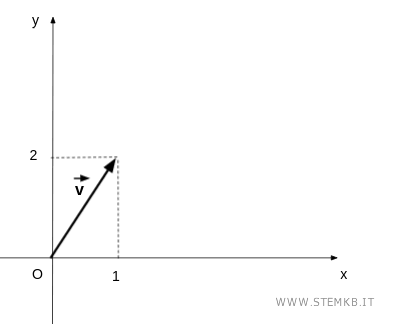 il vettore sul piano