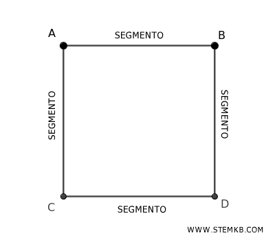 il lato di un quadrato &egrave; un segmento