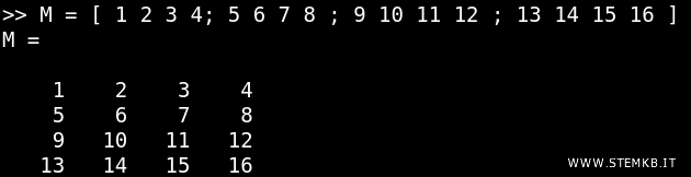 una matrice quadrata 4x4 di esempio