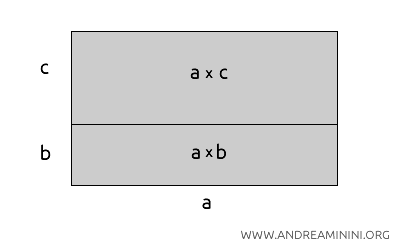 il rettangolo &egrave; diviso in due parti