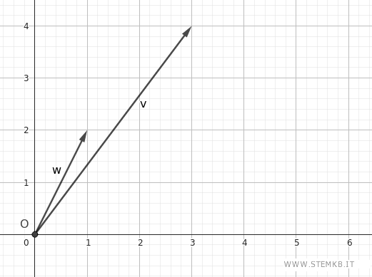 i due vettori sul piano